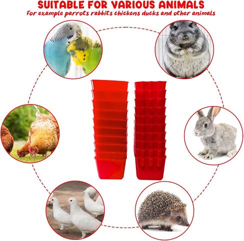 20 Pcs Chicken Coop Feeder Water Cup,16 oz Cage Cups Chicken Feeder Waterer, Cage Cups Birds Hanging Feeders, Chicken Feeder Water Bowl for Parakeet Poultry Pigeon Bunny Wire Cage (Red) in Saudi Arabia