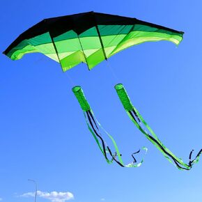 Huge 3D Adult Gliders Kite, 120" in Giant Single Line Kites with Two 17ft 3D Kite Tails, Large Beach Kite for Adults