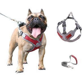 Dog Harness with Leash Set,No Pull Adjustable Vest Harness,Lightweight Easy Walk Dog & Cat Harness,Pet Harnesses Reflective for Puppy Small Medium and Large Dogs and Cats (Purple, M)