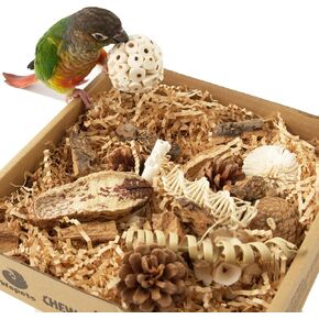 Natural Bird Foraging Toys & Parrot Toys Box - Interactive Chewing and Foraging Toys for Parakeets, Cockatiels, Conures, Quakers, Sun Conure, and Other Small to Medium Bird shredding Toys
