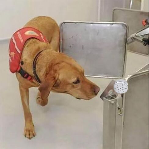 Dog Scent Work tins Dog Scent Training Box Dog Nose Work containers (4 Odorous Cotton Swab) in Saudi Arabia