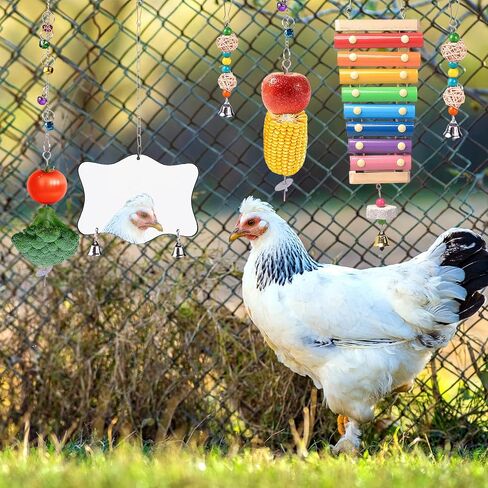 Chicken Toys for Coop 9PCS- Chicken Xylophone, Chicken Swing, Chicken Mirror, Chicken Flexible Ladder, Chicken Vegetable String Bag and Hanging Feeder in Kuwait