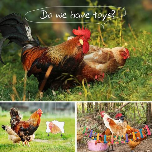 Chicken Toys for Coop 9PCS- Chicken Xylophone, Chicken Swing, Chicken Mirror, Chicken Flexible Ladder, Chicken Vegetable String Bag and Hanging Feeder in Kuwait