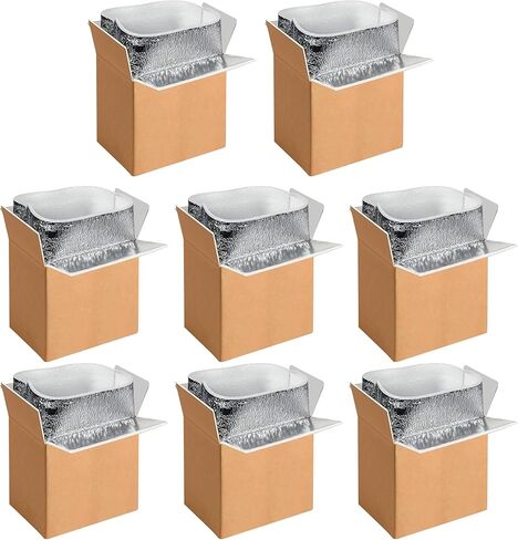2 Pack Insulated Shipping Boxes with Aluminum Foil Liner,Thermal Insulation Cold Pack Shipping Boxes for Frozen, Reusable Styrofoam Cooler Box, Small Mailing Box, 6’’X5’’X9’’ in Kuwait