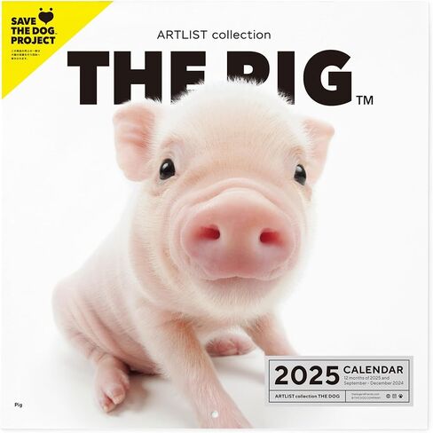 [ArtlistCollectionTHE DOG] Wall Calendar ≪THE PIG≫ from September 2024 to December 2025-11.4" x 11.4" in Saudi Arabia