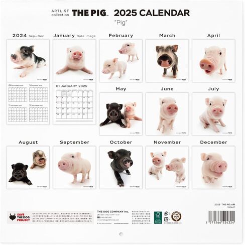 [ArtlistCollectionTHE DOG] Wall Calendar ≪THE PIG≫ from September 2024 to December 2025-11.4" x 11.4" in Saudi Arabia