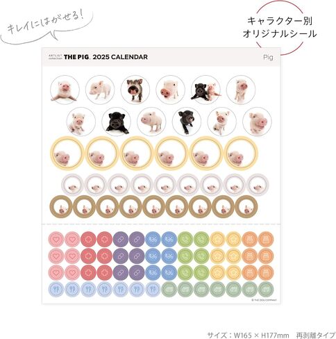 [ArtlistCollectionTHE DOG] Wall Calendar ≪THE PIG≫ from September 2024 to December 2025-11.4" x 11.4" in Saudi Arabia