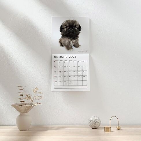[ArtlistCollectionTHE DOG] Wall Calendar ≪THE PIG≫ from September 2024 to December 2025-11.4" x 11.4" in Saudi Arabia