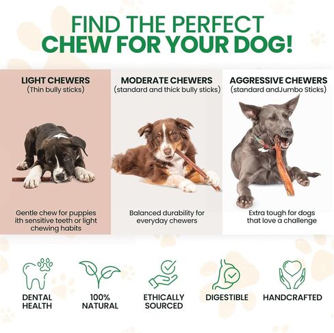 Bully Bark 100% Natural 6" Bully Sticks – 24 Count – Thin, Grass-Fed Beef Chews for Small and Medium Dogs -Fully Digestible, Natural Dental Treats to Keep Dogs Busy & Happy - Grain & Rawhide Free in Saudi Arabia