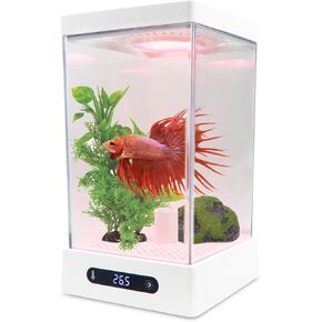 Small Fish Tank Mini Aquarium with RGB Colors Light for Betta Fish Shrimp Starter Kit with Heater, Adjustable Temperature/Brightness, Desktop Fish Tank for Room Decor, A Idea Gifts for Christmas