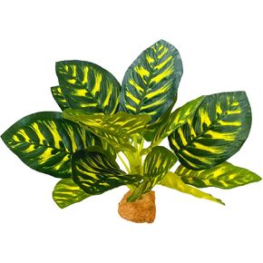 Woyrise Reptile Artificial Plants, Terrarium Decorations Fake Plant with Base, Reptile Amphibian Tank Accessories Habitat Hideout - Prayer Peacock in Kuwait