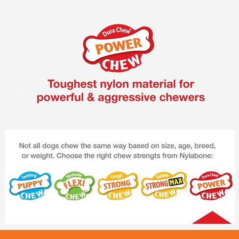 Nylabone Power Chew Wishbone Chew Toy for Dogs, Indestructible Chew Toys for Aggressive Chewers, Original Flavor, Medium up to 35 lbs. (1 Count) in Saudi Arabia
