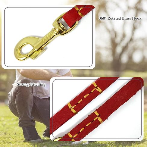 LWBMG 4ft Leather Dog Leash for Small Dogs, Genuine Leather Leash for Small & Medium Dogs, Red in Kuwait