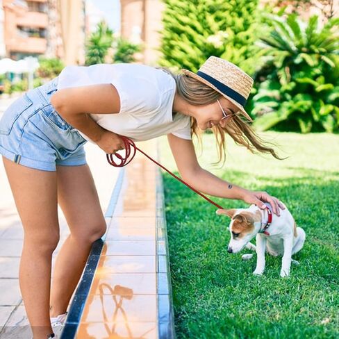 LWBMG 4ft Leather Dog Leash for Small Dogs, Genuine Leather Leash for Small & Medium Dogs, Red in Kuwait