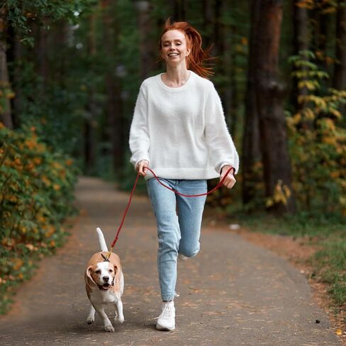 LWBMG 4ft Leather Dog Leash for Small Dogs, Genuine Leather Leash for Small & Medium Dogs, Red in Kuwait