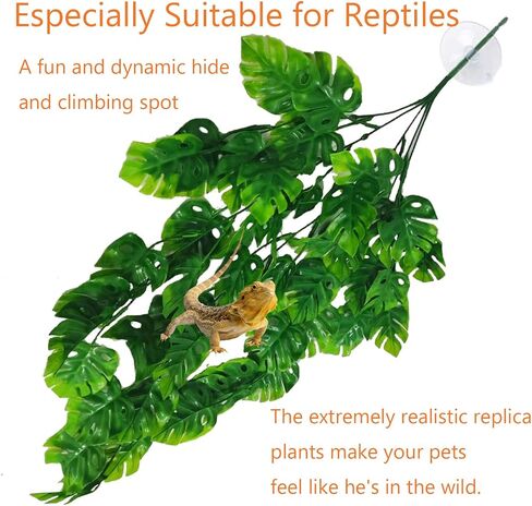 Reptile Plants 3 PCS Hanging Terrarium Plant with Suction Cup Fake Amphibian Plants for Bearded Dragons,Lizards,Geckos,Snake and Hermit Crab Tank Habitat Decorations 30 inches Green(Style 2) in Saudi Arabia