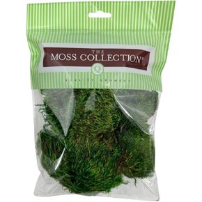 Preserved Mood Moss - Decorative Moss - Dried Moss for Crafts, Home Decor, Art, Design & DIY Projects - For Indoor Use - Natural Green - Medium Size