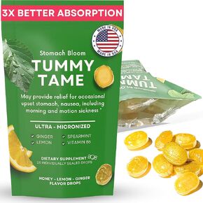 Sugar-Free Ginger for Nausea Relief, Organic Honey, Spearmint, Lemon w/Vitamin B6, Pregnancy Must Haves, Morning Sickness Relief. 28 Ct (Sugar-Free)