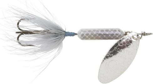 Yakima Bait Wordens Original Rooster Tail Spinner Lure, Pumpkin Seed, 1/8-Ounce in Saudi Arabia