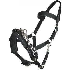 HORZE Nylon Lunging Cavesson - Black - Horse in Kuwait