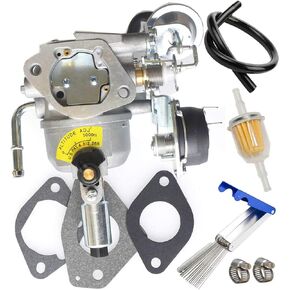 541-0765 Carburetor for Onan 5500 Generator replace 5410765 146-0774 A043B781 141-0983 Grand Marquis Gold Generator with Mounting Gaskets Fuel Filter Cleaner Tool Kit by TOPEMAI