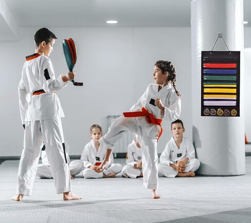 ZFZGFRCS Karate Martial Arts Belts Storage Organizer- Holds 8 Karate Belts and 5 Medals, Martial Arts Taekwondo Belt Display Holder, Durable & Dust-Proof in Saudi Arabia