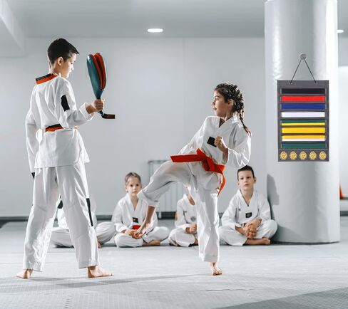 منظم تخزين أحزمة فنون الدفاع عن النفس للكاراتيه من ZFZGFRCS - يحمل 8 أحزمة كاراتيه و5 ميداليات، حامل عرض حزام التايكوندو للفنون القتالية، متين ومقاوم للغبار in Kuwait