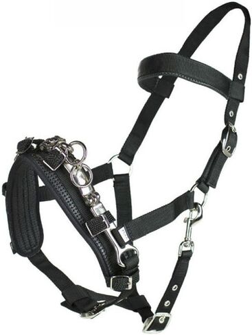 HORZE Nylon Lunging Cavesson - Black - Horse in Saudi Arabia
