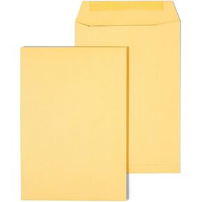 Staples 534701 6-1/2-Inch x 9-1/2-Inch Brown Kraft Catalog Envelopes 100/Box (534701/17096)
