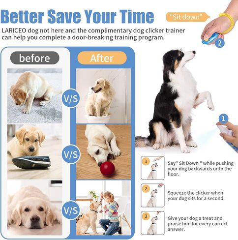 Not Here Dog Spray! Training Spray for Dogs to Stop Peeing - Pet No More Marking - Dog Pee Deterrent Spray for Indoors & Outdoor Use - Safe Dog Repellent Spray for Peeing - Dog Stay Away - 8oz in Kuwait