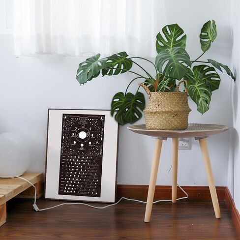 Moon Calendar 2025 Lunar Phases, Hangable MoonLight Wall Poster, Full Moon Tracker Wall Art, Moon Lover Gifts, Astrology Decorations, and Celestial Calendar, Black in Saudi Arabia