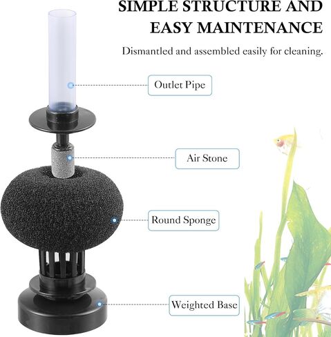 HITOP 2 Pack Aquarium Bio Sponge Filter: 4in Mini Air-Powered Fish Tank Filter, Quiet Small Sponge Filter for up to 15gallon Fish Tank, Betta Tank, Shrimp Tank, Fry Tank, Breeding in Kuwait