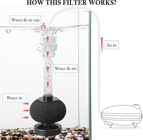 HITOP 2 Pack Aquarium Bio Sponge Filter: 4in Mini Air-Powered Fish Tank Filter, Quiet Small Sponge Filter for up to 15gallon Fish Tank, Betta Tank, Shrimp Tank, Fry Tank, Breeding in Kuwait