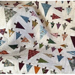 Suzn Quilts Forest Stroll Pattern, Multi