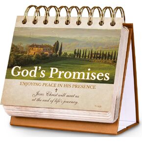 Motivational Calendar - Desk Calendar with Inspirational Thoughts, Christian Gifts, Religious Gifts for Women and Men, 4.7'' x 5'' Flip Calendar, God's Promises Perpetual Calendar