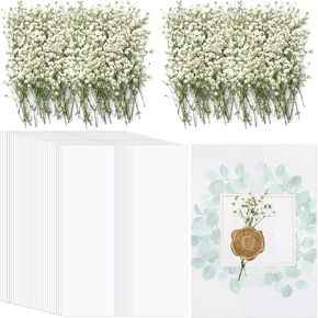 Fabbay 50 Sets Wedding Invitations Paper Wraps Included 50 pcs Pre Folded Vellum Jackets for 5 x 7 Invitations 100 Pcs Natural Dried Pressed Flowers for Wedding Invitations Accessories Birthday Party