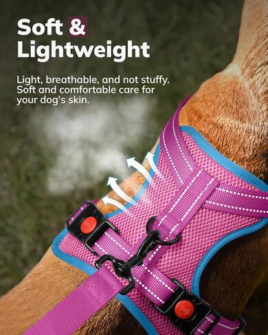 MIDOG No-Pull Dog Harness | Adjustable & Reflective Pet Harness Leash Set for Small Medium Large Dogs Walking, Training| No Choke, Front Clip, Soft Padded Vest with Easy Control Handle - Blue, M in Kuwait