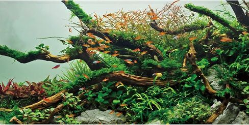 AWERT 72x24 inches Branches Fish Tank Background Green Algae Aquarium Background River Bed & Lake Fish Tank Background Vinyl Background in Kuwait