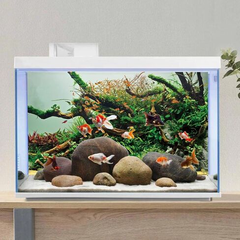AWERT 72x24 inches Branches Fish Tank Background Green Algae Aquarium Background River Bed & Lake Fish Tank Background Vinyl Background in Kuwait