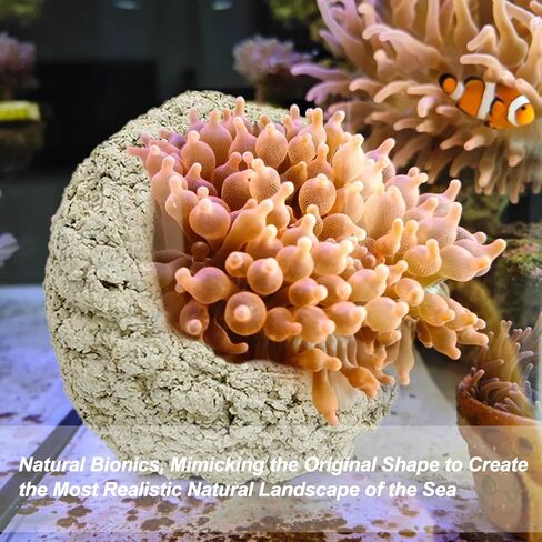 Anemone Nest,Fish Tank Decorations,Marine Aquarium Aquascape Stone,Saltwater Aquarium Accessories,Aquarium Decor,Anemone Coral Ideal Habitat (Oblique Mouth 2.67-3.15 in) in Saudi Arabia