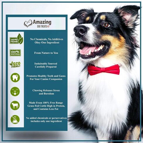 Amazing Dog Treats - Beef Cheek Strips Premium Dog Chew (10 Inch - 10 Pack) - NO Odor - Thick Cut - Rawhide Alternative - Beef Cheek Slice Chip Sticks - No Dyes, Chemicals, or Preservatives in Saudi Arabia