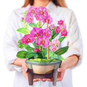 Airpark Pop Up Card Paper Flowers Bouquet, 3D Popup Greeting Cards with Note Card & Envelope, Birthday Card, Anniversary Card, Birthday Get Well Gifts for Women Mom Wife, 14" Orchids