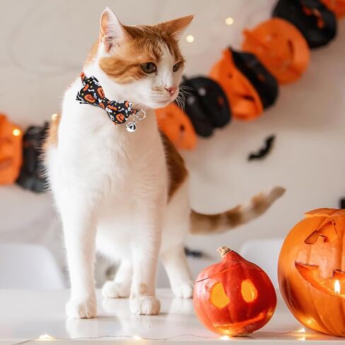 KOOLTAIL Cat/Kitten Collar Breakaway with Bells and Bowtie, 2 Packs Cute Bandana Cat Collars,Plaid Design with Safety Buckle Adjustable Size for Small Cats Boys or Girls,Beige in Saudi Arabia