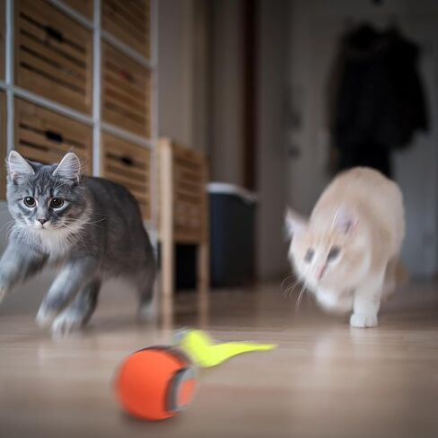 Speedy Tail 2.0, Speedy Tail Cat Toy, Interactive Cat Toys for Indoor Cats, Smart Interactive Cat Toy Balls, Automatic Moving Cat Toy Ball, Self Rolling Cat Toy Ball with Tail (Blue) in Saudi Arabia
