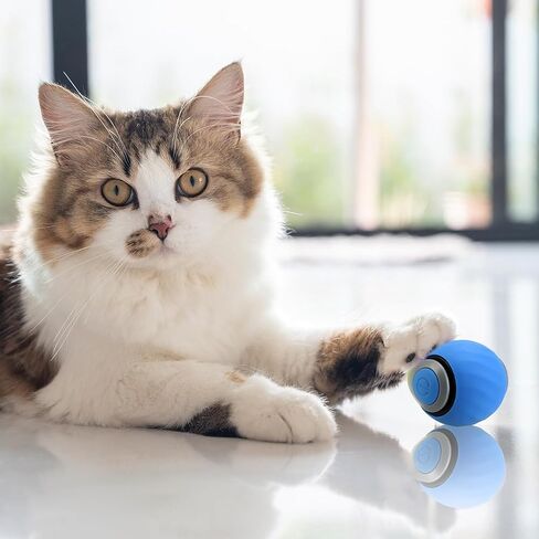 Speedy Tail 2.0, Speedy Tail Cat Toy, Interactive Cat Toys for Indoor Cats, Smart Interactive Cat Toy Balls, Automatic Moving Cat Toy Ball, Self Rolling Cat Toy Ball with Tail (Blue) in Saudi Arabia
