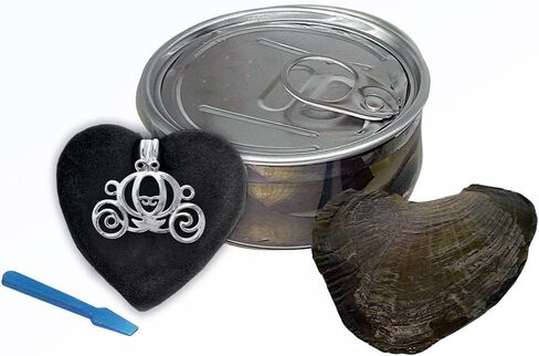 مجموعة هدايا اللؤلؤة الثمينة في المحار من My Inspirations، مجموعة هدايا اللؤلؤ الغامض، مجموعة صنع القلائد DIY، قلادة أنيقة مع سلسلة 20 بوصة، مطلية بالروديوم، هدية رائعة لأي مناسبة، عربة اليقطين in Kuwait