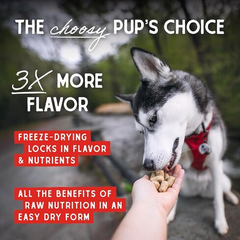 Stella & Chewy's Freeze Dried Raw Chewy’s Chicken Meal Mixers – Dog Food Topper for Small & Large Breeds – Grain Free, Protein Rich Recipe – 3.5 oz Bag in Saudi Arabia