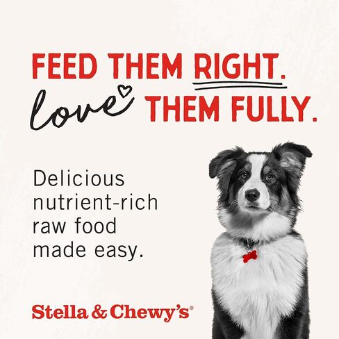 Stella & Chewy's Freeze Dried Raw Chewy’s Chicken Meal Mixers – Dog Food Topper for Small & Large Breeds – Grain Free, Protein Rich Recipe – 3.5 oz Bag in Saudi Arabia