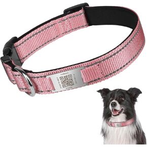 Dog Collar with QR Tag - Reflective Dog Collar with QR Name Tag - Padded, Adjustable, Soft Dog Collars for Safe Night Walking, Fits Small Medium Large Dogs (Pink, M)