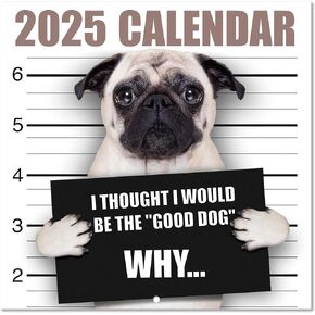 2025 Calendar - Wall Calendar 2025 from January to December 2025, Funny Calendar, 12 Monthly Funny Calendar, 12" x 24" (Open), 2025 Calendar with Large Blocks, Premium Paper, Funny Dog Pics